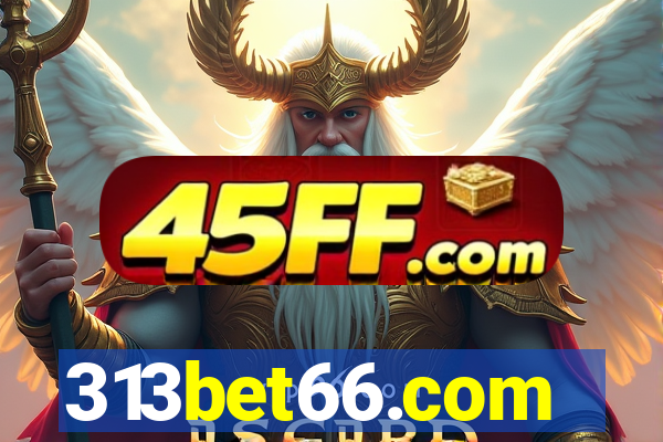313bet66.com