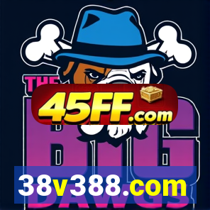 38v388.com