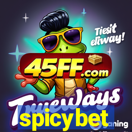 spicybet-3.com