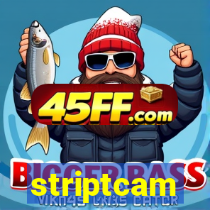striptcam