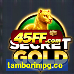 tamborimpg.co