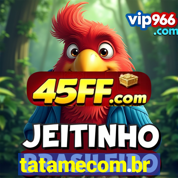 tatamecom.br