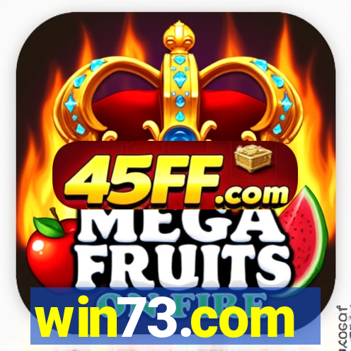 win73.com